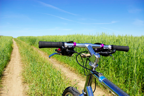 Chiropractic Care for Leisure Sports: Biking