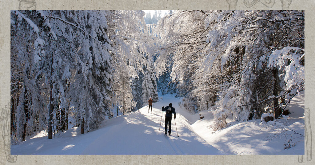 person skiing in winter snow